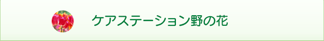 ケアステーション野の花